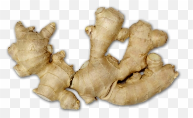 Ginger Png - Ginger,Ginger Png
