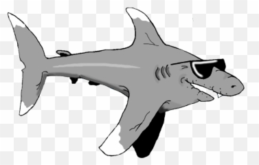 Bronze Hammerhead Shark - Tiburon Caricatura Png,Hammerhead Shark Png