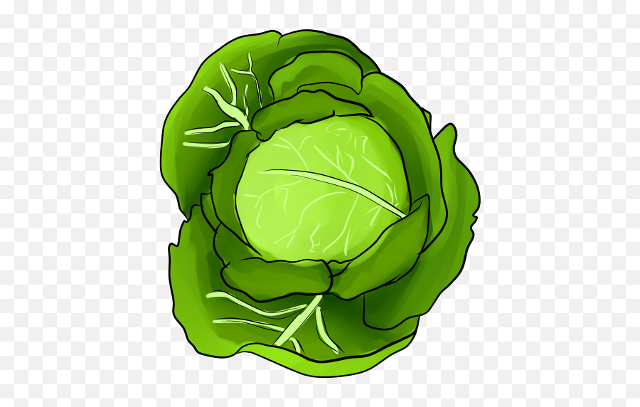 So I Drew A Cabbage By Bodyoftemptation - Fur Affinity Dot Transparent Cabbage Emoji Png,Cabbage Transparent Background