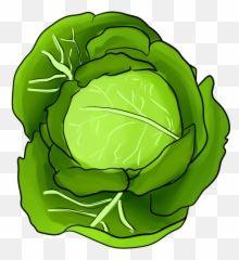 So I Drew A Cabbage By Bodyoftemptation - Fur Affinity dot Transparent Emoji png