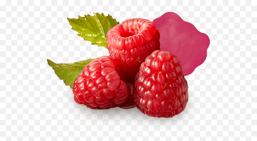 Red Berry Png Graphic Library Stock - Red Berry,Berry Png