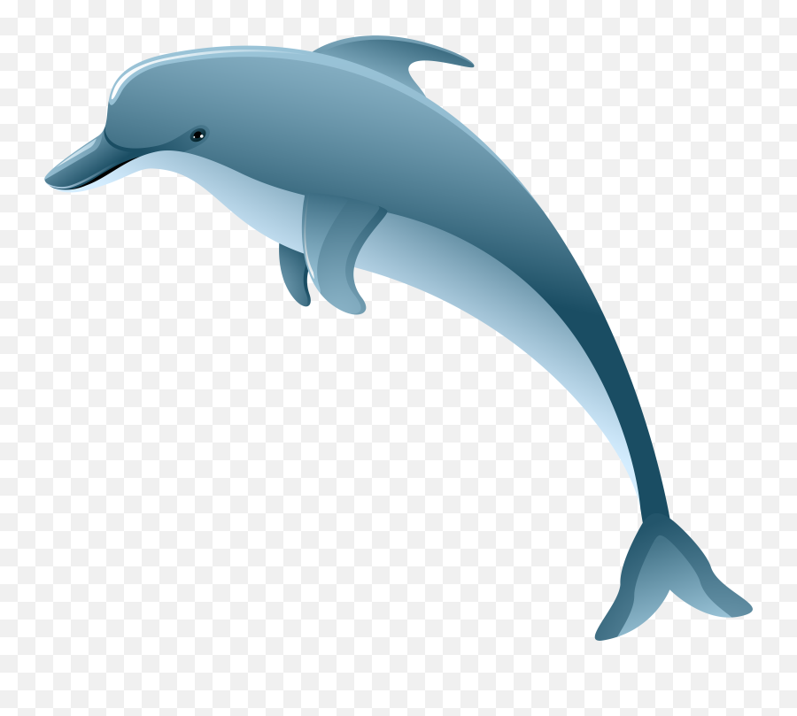 Dolphin Clipart Transparent Background Png