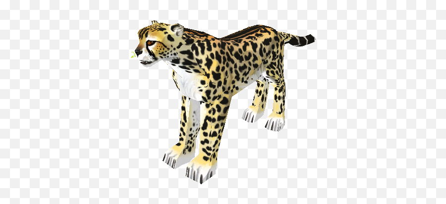 Jaguar Transparent Zoo Tycoon - Soft Png,Cheetah Transparent