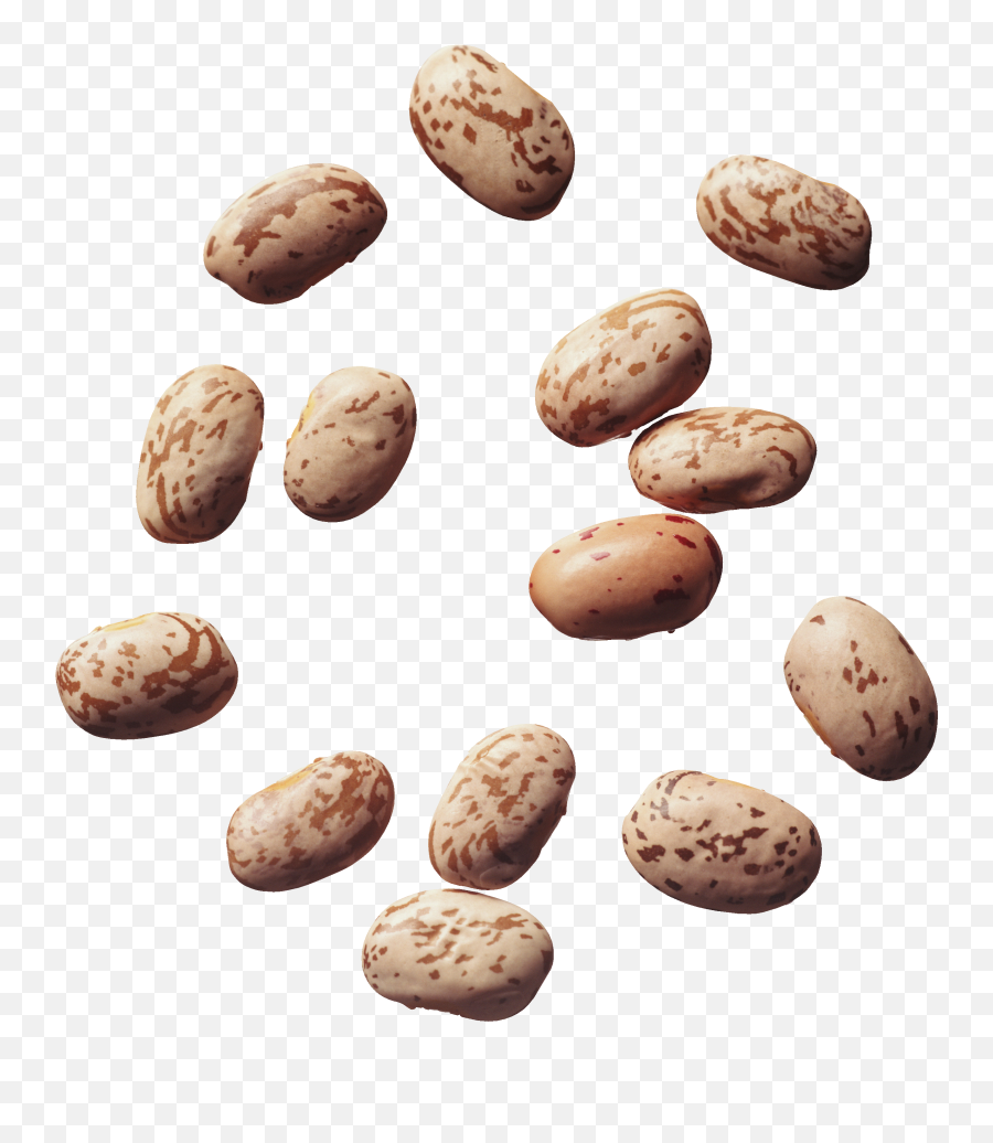 Beans Png Images Free Download - Pinto Beans Transparent Pinto Beans Transparent Background,Beans Png