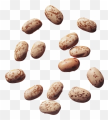 Beans Png Images Free Download - Pinto Beans Transparent Pinto Beans Transparent Background,Beans Png