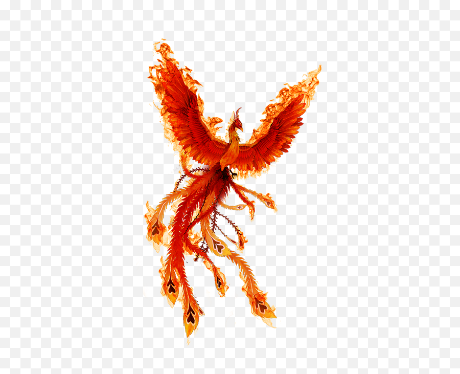 Phoenix Fire Bird Png Icon - Transparent Fire Phoenix Png,Phoenix Png