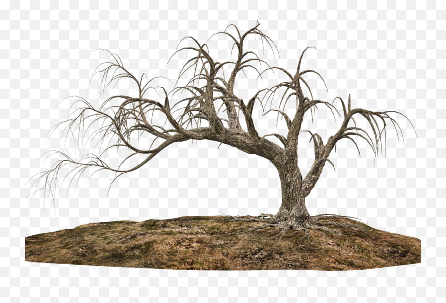 Tree With Soil - Creepy Tree Transparent Background Png,Soil Png