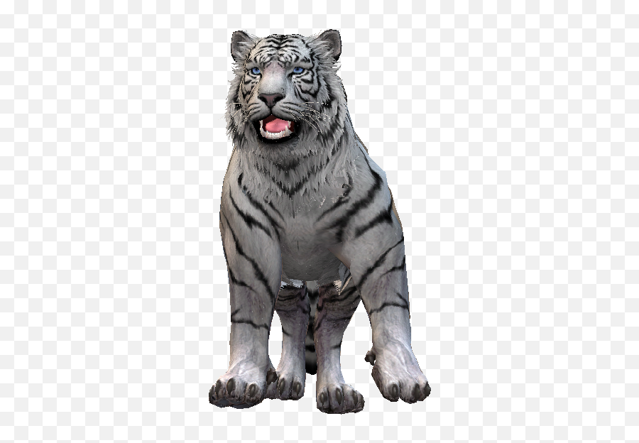 White Tiger - Content Classconnect Siberian Tiger Png,White Tiger Png