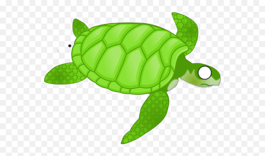 Turtle Png Svg Clip Art For Web - Sea Turtle Clipart Transparent,Turtles Png