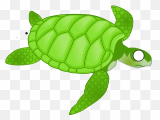 Turtle Png Svg Clip Art For Web - Sea Clipart Transparent