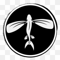Flying Fish Board Co - Automotive Decal Png,Flying Fish Logo