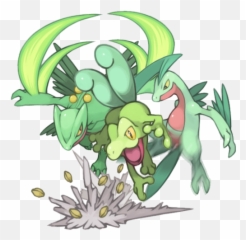 Pokemon Starters Pictures - Treecko Grovyle Sceptile Png,Sceptile Png
