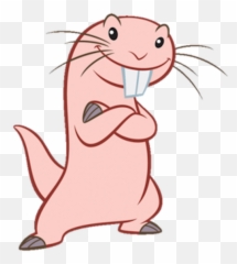 Rufus - Rat From Kim Possible Png,Kim Possible Png