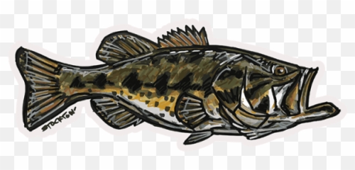 Marker Largemouth Bass Sticker - Flying Largemouth Bass Png,Largemouth Bass Png