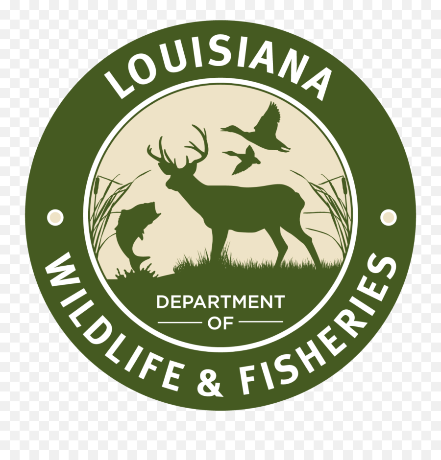 Illegal Deer Hunting Violations - Louisiana Department Of Wildlife And Fisheries Png,Deer Hunting Logo