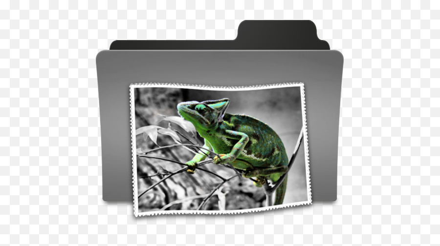 Pictures Ii Icon - Neutro Theme Icons Softiconscom Picture Frame Png,Lizard Icon