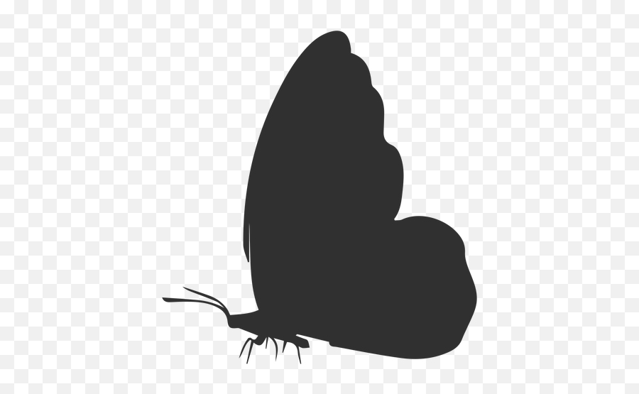 Butterfly Side View Silhouette - Transparent Png U0026 Svg Butterfly Side View Vector,Butterfly Transparent