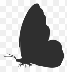 Free Free 192 Butterfly Side View Svg SVG PNG EPS DXF File