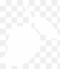 Download The King Of Fruits - Mango Icon White Full Size Mango Icon Png White,Fruits Icon