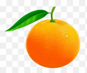Png Vector Clipart Image - Orange Images Clip Art,Fruit Clipart Png