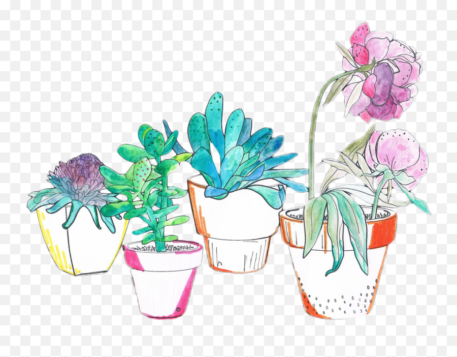 Watercolor Cactus Transparent Png - Transparent Aesthetic Plants,Watercolor Cactus Png