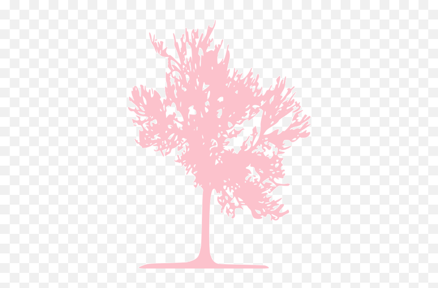 Pink Tree 23 Icon - Free Pink Tree Icons Language Png,Cherry Blossom Icon