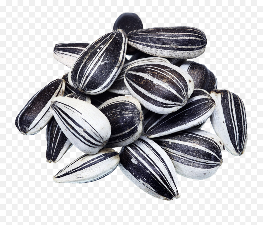Black Sunflower Seeds Png Images Hd Play - Sunflower Seeds Black And White,Seed Png