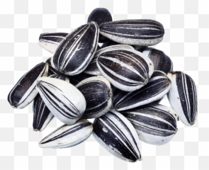 Black Sunflower Seeds Png Images Hd Play - Sunflower Seeds Black And White,Seed Png