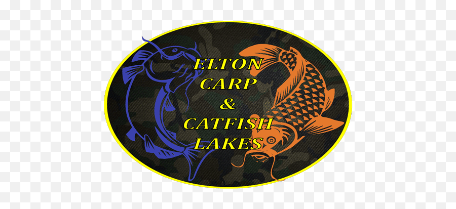 Cropped - Carpcatfishlogopng U2013 Elton Carp And Catfish Lakes Illustration,Catfish Png