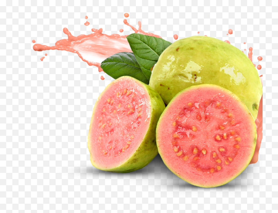 Guava Fruit Png 5 Image - Guava Png,Fruit Png Images