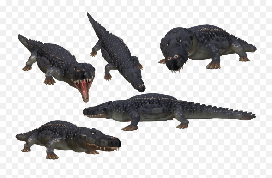 Saltwater Crocodile Png Photo - Video Game Full Size Png Spore Crocodile,Crocodile Png