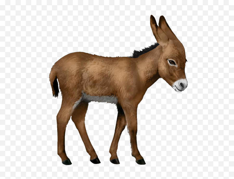 Free Transparent Png Images - Transparent Background Donkey Transparent,Donkey Png