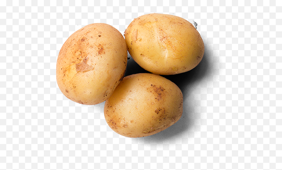 Home - Potato Top View Png,Potatoes Png