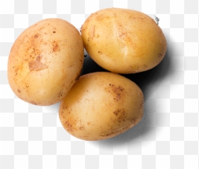 Home - Potato Top View Png,Potatoes Png