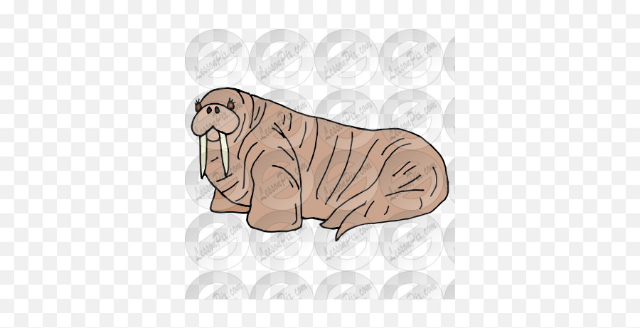 Walrus Picture For Classroom Therapy Use - Great Walrus Punxsutawney Phil Png,Walrus Png