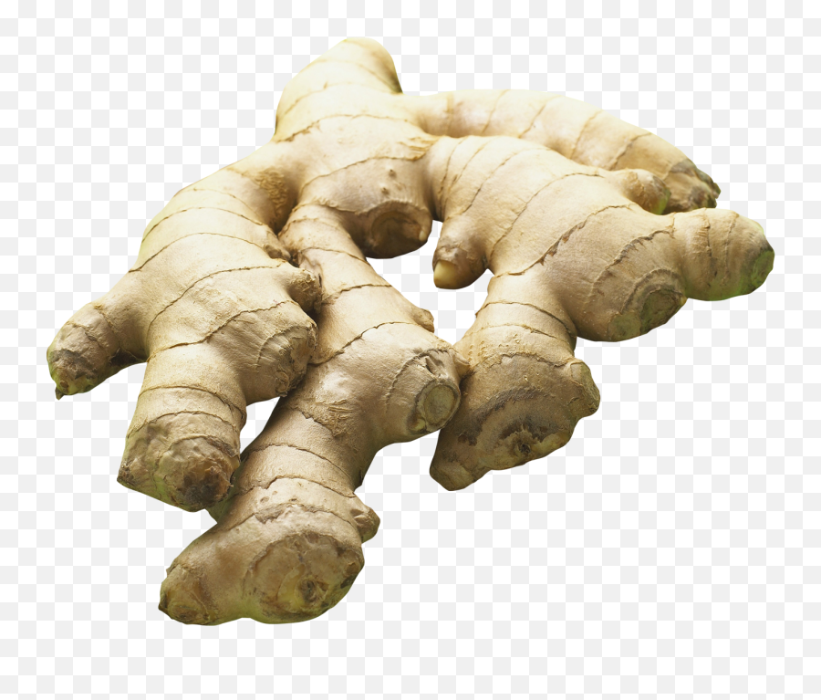 Ginger - Ginger Transparent Background Png,Ginger Png