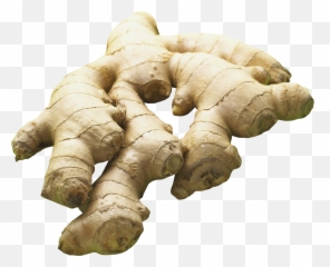 Ginger - Ginger Transparent Background Png,Ginger Png