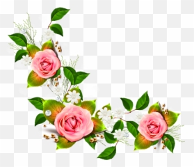 Pink Cascading Rose Vine Png Images - Flower Without Background