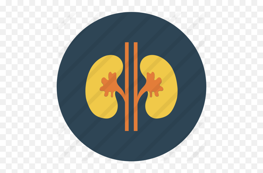 Kidney - Reins Icon Png,Kidney Png