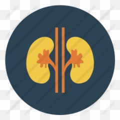 Kidney - Reins Icon png