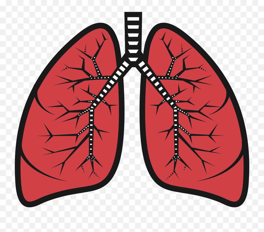 Sad Clipart Lung Picture - Lungs Clipart Png,Lung Png