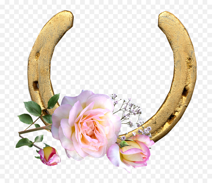 Horse Shoe Pink Rose Lucky - 30 Settembre Buongiorno Png,Herradura Png