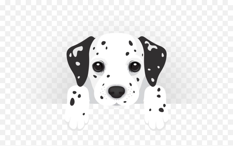 Dalmation Png - Dalmation Dalmatian Dog 1090786 Vippng Dalmatian,Dalmatian Png