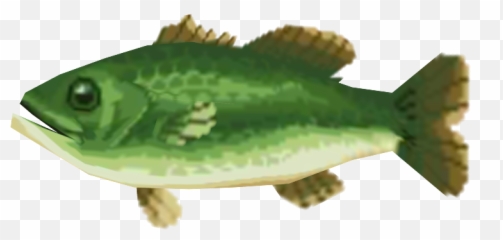 New Leaf - Fishes Png,Largemouth Bass Png