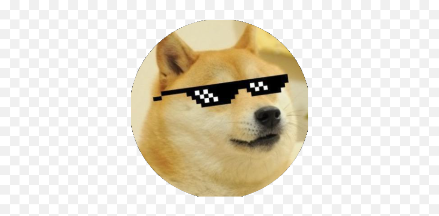Dogeverse - Roblox Doge Png,Mlg Icon