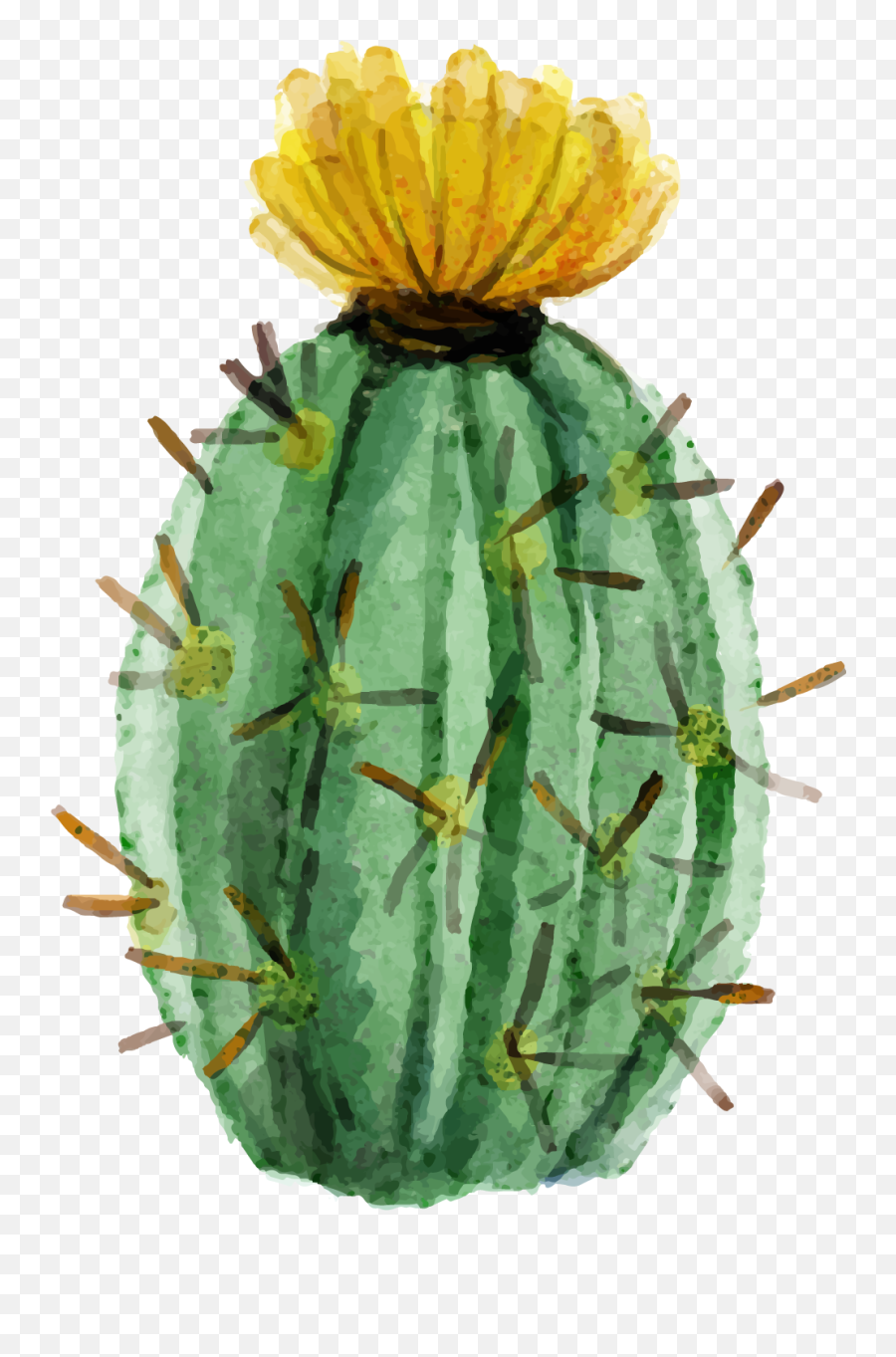 Cactaceae Watercolor Painting Succulent - Watercolor Painting Cactus Flower Png,Watercolor Cactus Png