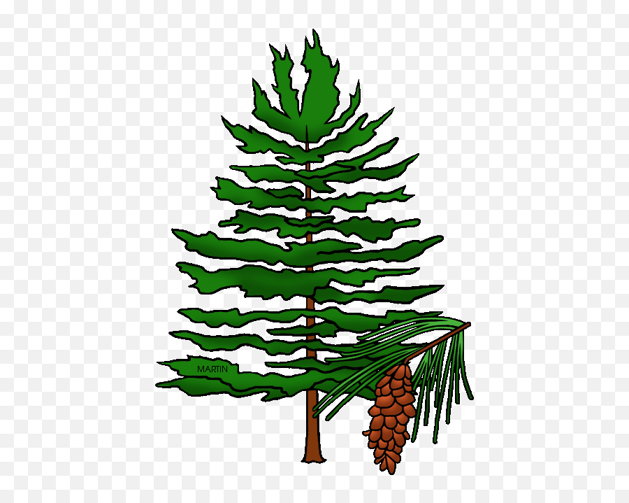 State Tree Of Idaho - Pine Cone Tree Clip Art Png Download Pine Tree With Cones Clipart,Pine Cone Icon