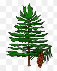 State Tree Of Idaho - Pine Cone Clip Art Png Download With Cones Clipart