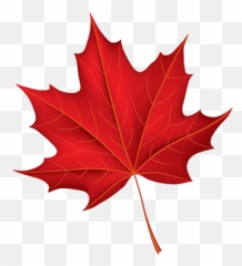 Pineapple 2 Greek Yogurt Oikos Canada - Fall Leaf Clipart png