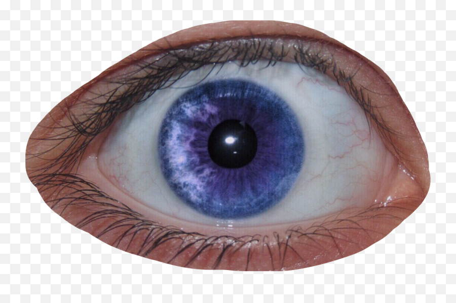 Eye Creepy Cool Purple Eyeball Pupil - Creepy Eyes Png,Creepy Eye Png